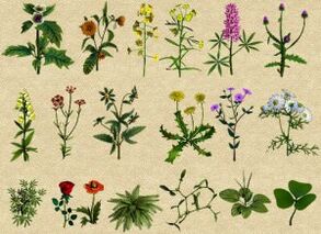 Popular remedies against alcoholism